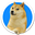 Kabosu Inu (KABOSU INU)